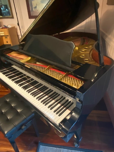 Sally's Piano